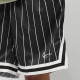 Karl Kani Ανδρικό σορτς Small Signature Pinstripe Mesh Shorts